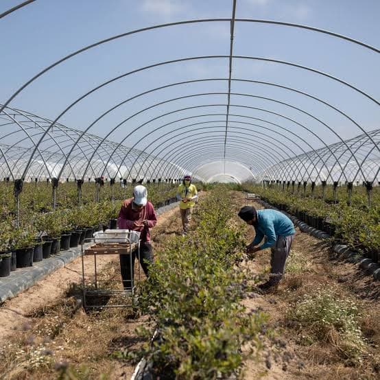 Manpower for Agriculture - Image 1